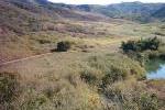 Bushveld suitable for livestock